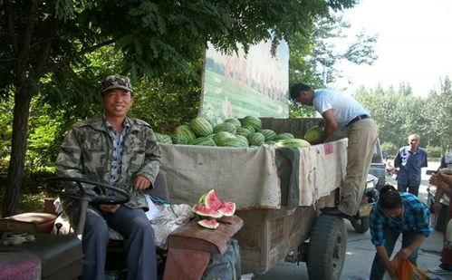康县网红吃瓜二拼事件始末,从网络热议到真相揭晓