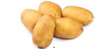 土豆bug直播网红吃瓜