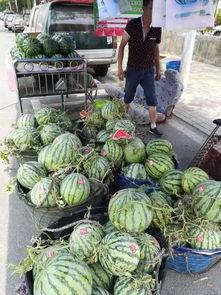 湘潭网红吃瓜事件