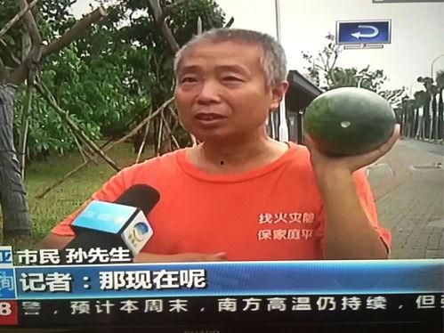 网曝热门体育吃瓜事件,揭秘幕后真相与惊人内幕