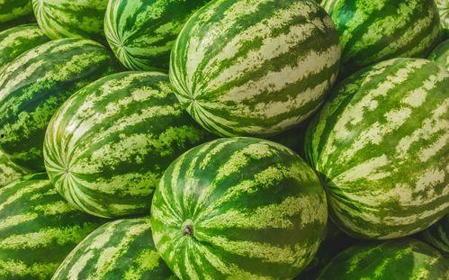 万科吃瓜大赛官网首页,揭秘行业风云，共赏地产盛宴”