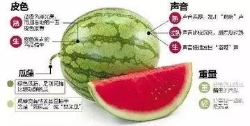 微信吃瓜网,热门话题背后的真相与笑料