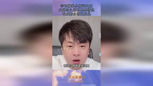 网红吃瓜爆料黑料不打洋,吃瓜爆料，不打洋黑料背后的真相