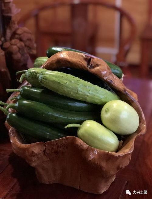 网红的瓜去哪吃,跟随“瓜圈”潮流，探寻美食天堂