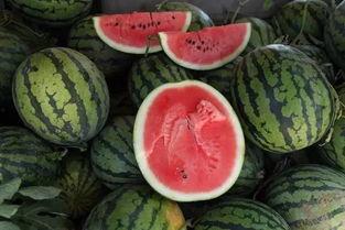 一块钱吃瓜网红,揭秘网红背后的瓜田秘事