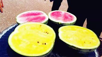 网红吃瓜大爆料最新,揭秘娱乐圈惊人内幕