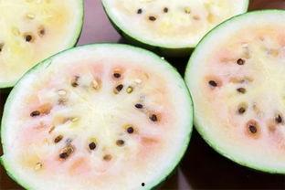 临沧网红吃瓜事件真相揭秘,揭秘背后真相与争议