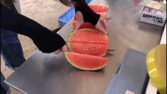 吃瓜群众集合啦网约车